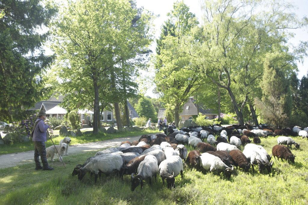 Gasthof Menke Niederhaverbeck Dış mekan fotoğraf
